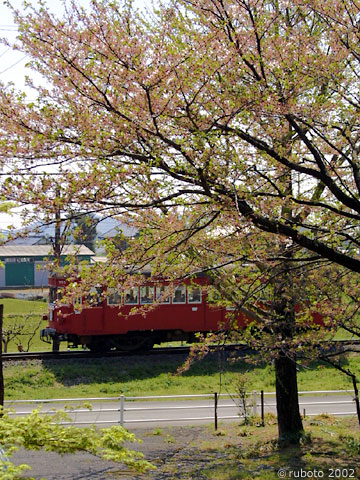 2429a13.jpg