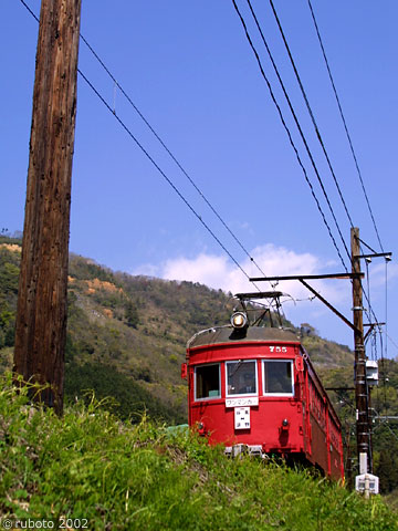 2429a16.jpg