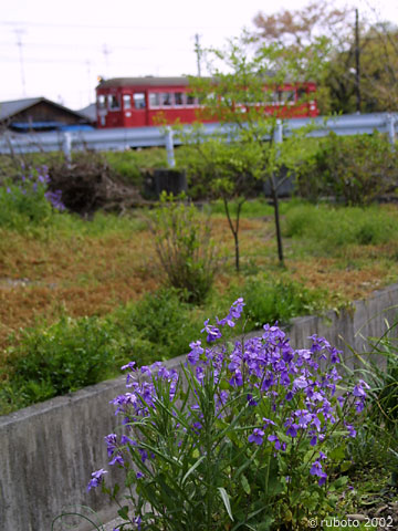 2429a20.jpg