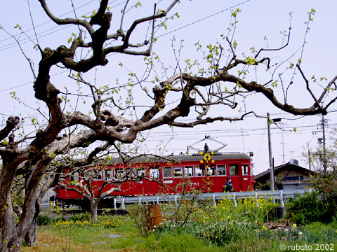 2429a21.jpg