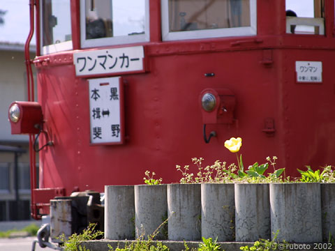 2429a23.jpg