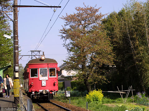 2429a24.jpg