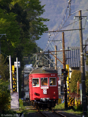 2429a31.jpg