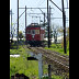 2429a25.jpg