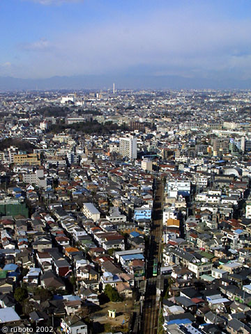 2519a33.jpg