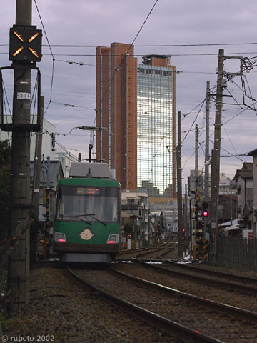 2519a52.jpg