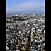 2519a33.jpg