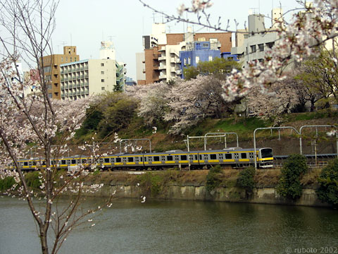 2814a01.jpg