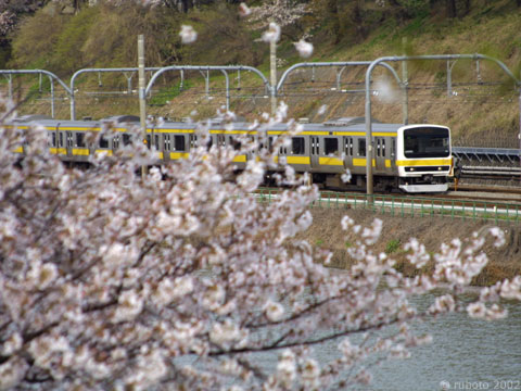 2814a07.jpg