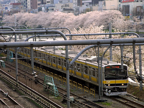 2814a13.jpg