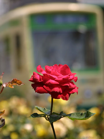 2y30a08.jpg