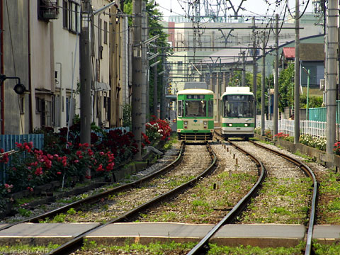 2y30a10.jpg