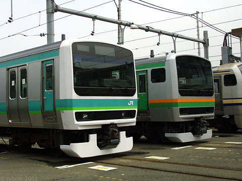 2z03a10.jpg