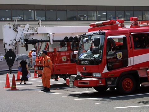 2z03a22.jpg