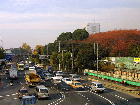 4814a11.jpg