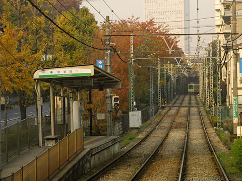 4814a21.jpg