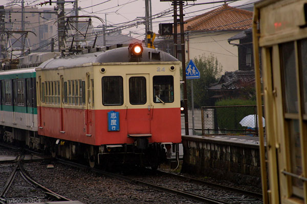 4909a08.jpg