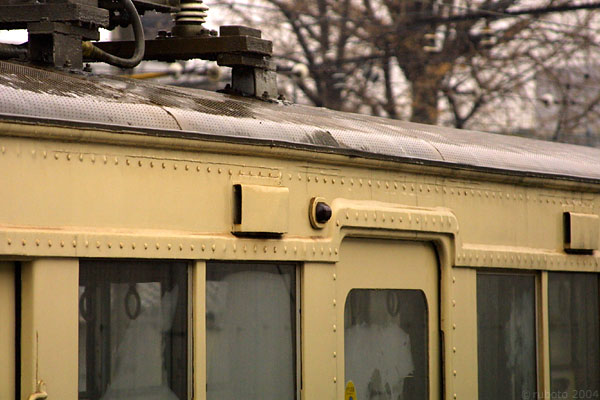 4909a15.jpg