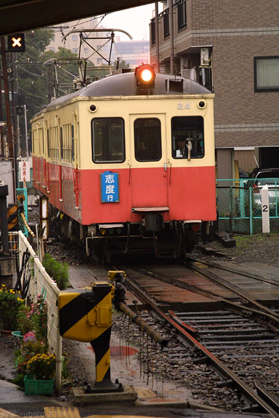 4909a20.jpg
