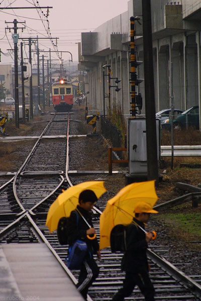 4909a47.jpg