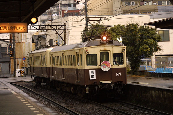 4909a53.jpg