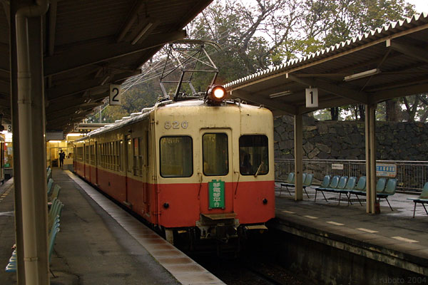 4909a55.jpg