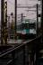 4909a05.jpg