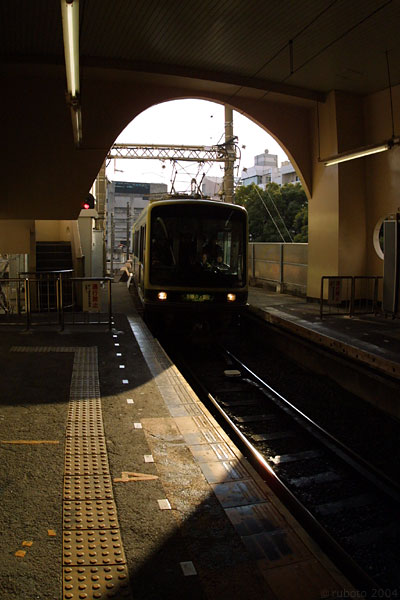 4913a01.jpg
