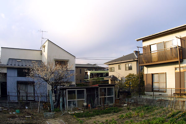 4913a05.jpg
