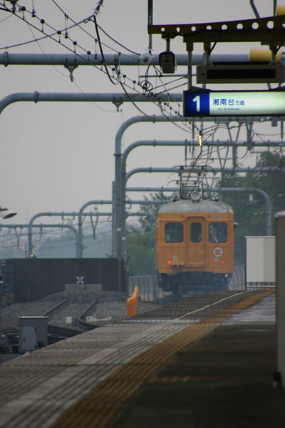 5z03a07.jpg