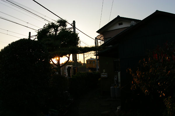 5z03a20.jpg