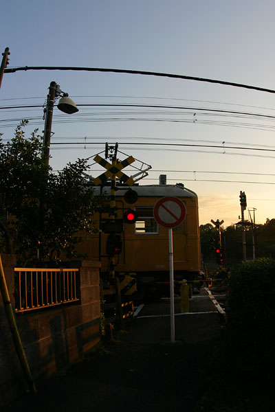 5z03a22.jpg