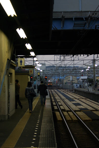 5z03a28.jpg