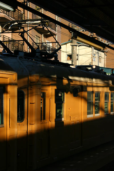 5z03a38.jpg