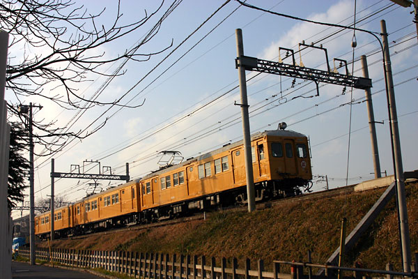5z03a43.jpg