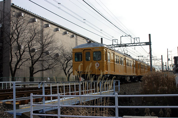 5z03a47.jpg