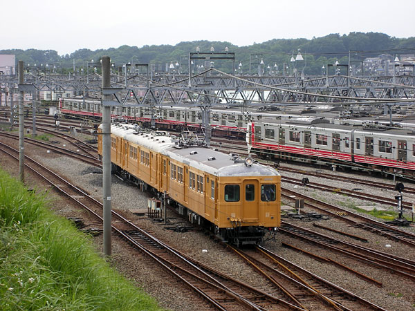 5z03a65.jpg