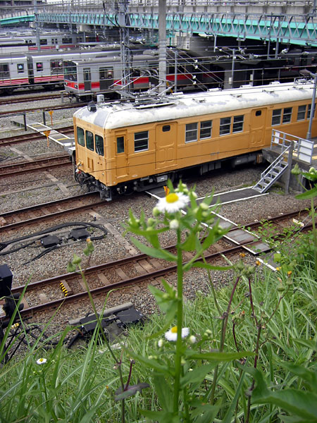 5z03a66.jpg