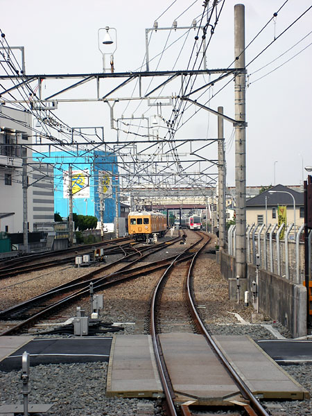 5z03a75.jpg