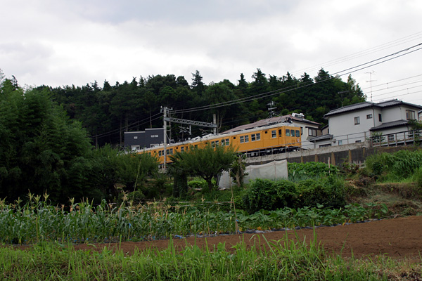 5z03a80.jpg