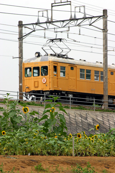 5z03a82.jpg
