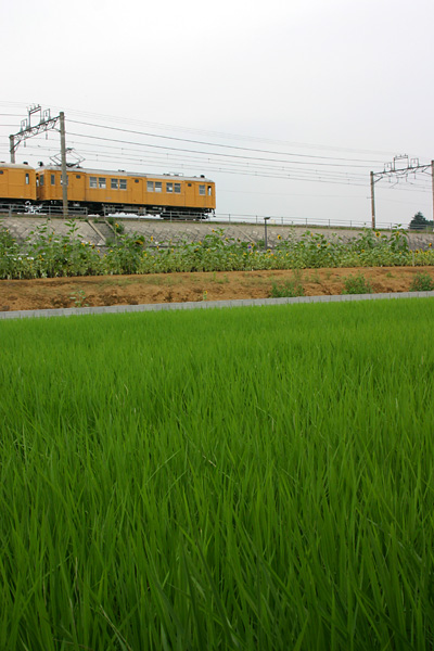 5z03a83.jpg