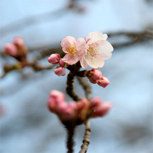 03/09
