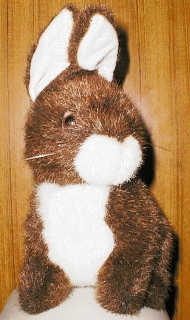 �������E�E�E