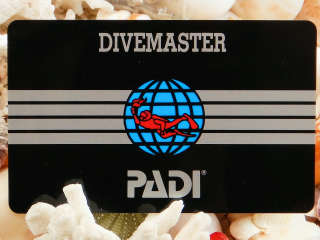 PADIダイブマスター