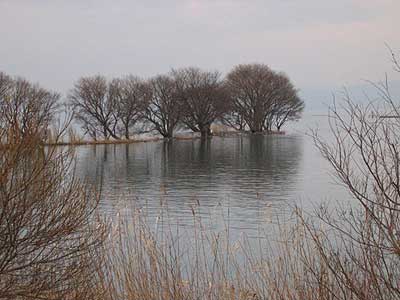 biwako