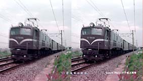 google photo ́u{P␳vgpuʐ^̃rtH[At^[