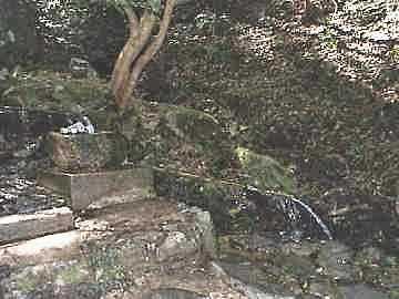 펛ւ̎Q