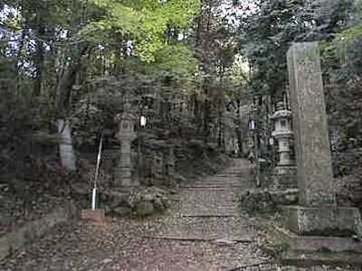 펛ւ̎Q