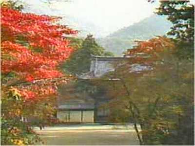 _쎛